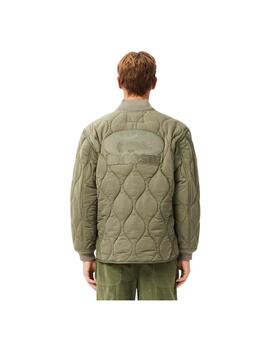 Chaqueta Lacoste Insignia Verde Hombre