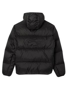 Cazadora Acolchada Lacoste Negra Hombre