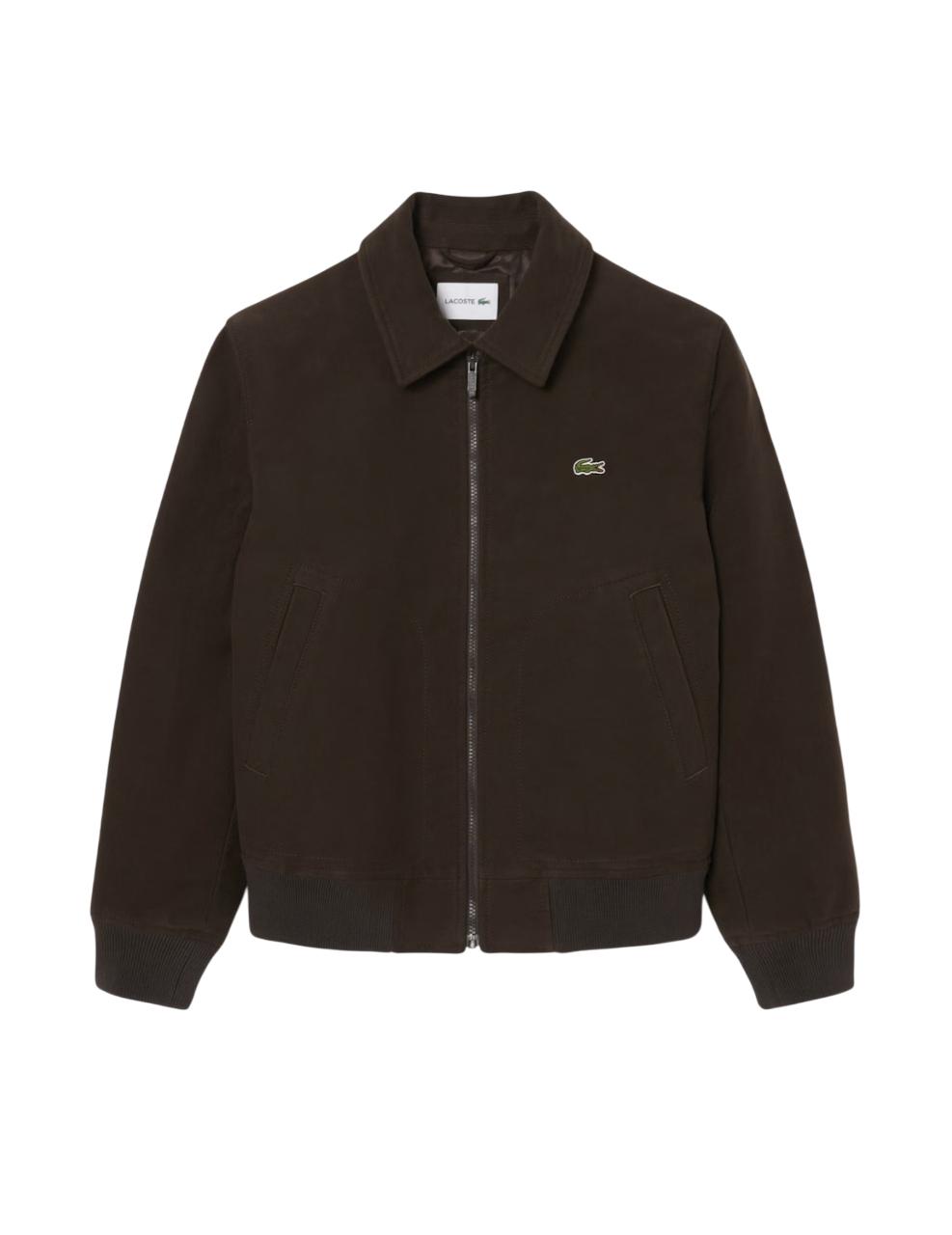 Cazadora Lacoste Marrón Hombre