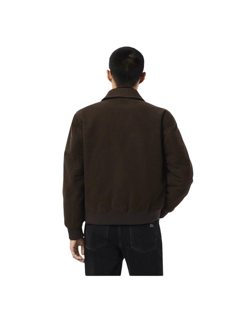 Cazadora Lacoste Marrón Hombre