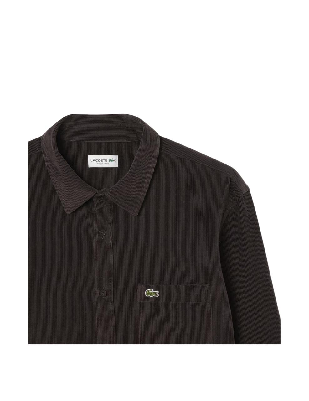 Camisa Lacoste Marrón Oscuro Hombre