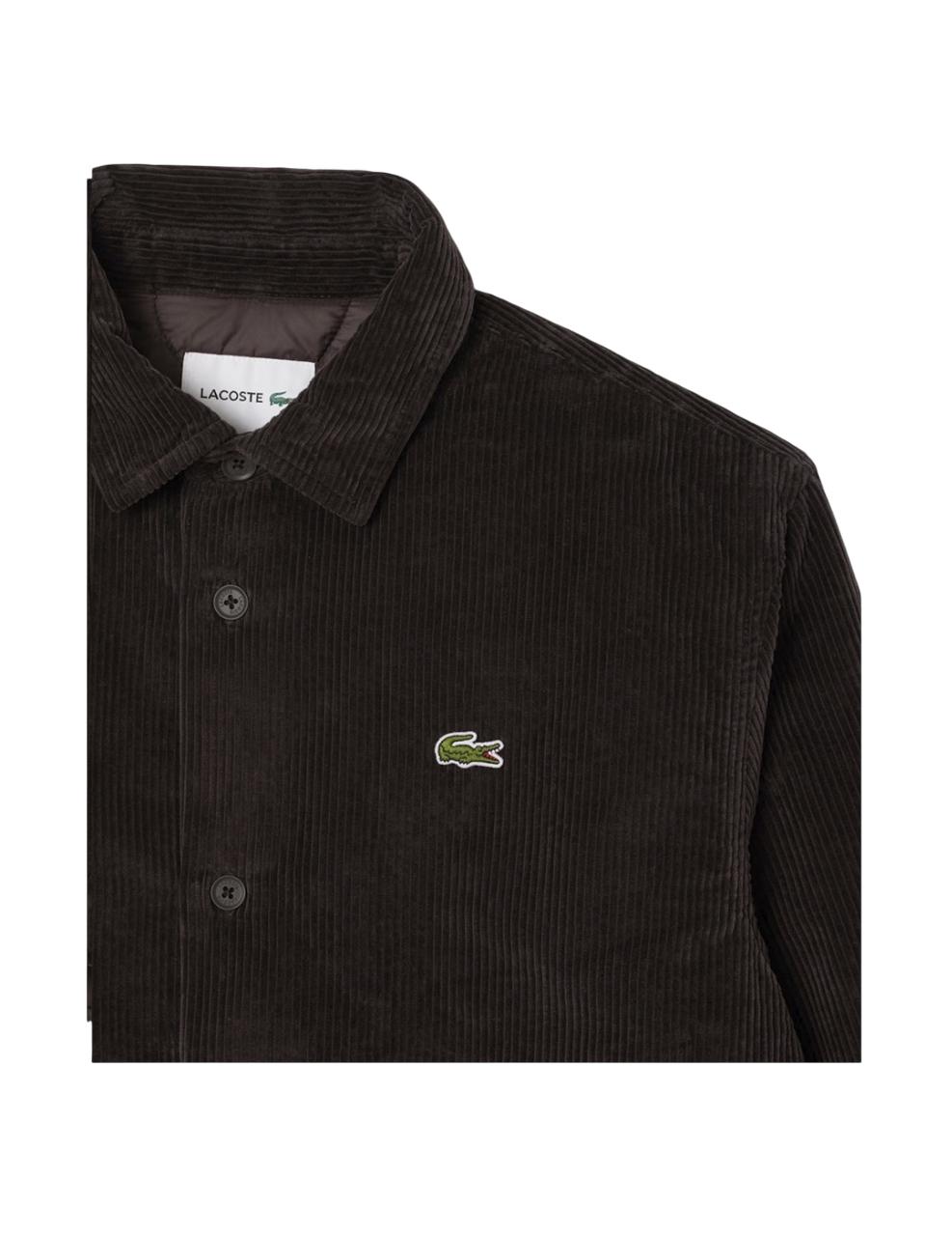 Sobrecamisa Lacoste Marrón Hombre